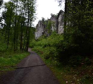 Prachovske skaly