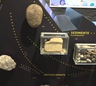 Museum Natur und Mensch