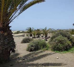 Aussichtspunkt an den Dünen