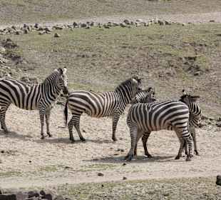 ZOOM Erlebniswelt Gelsenkirchen