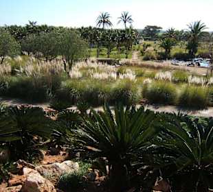 Botanicactus - Blick zum Palmenbereich