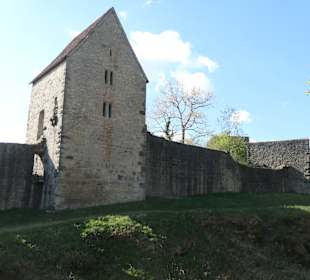 Bad Neustadt: Burg Salzburg