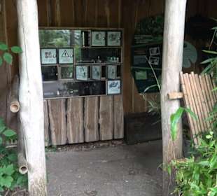 Tierpark Hellabrunn - Welt der Affen