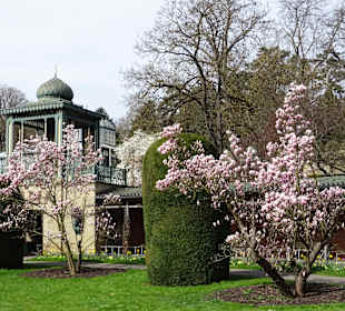 Wilhelma Stuttgart