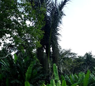 Ausblick von der Terrasse