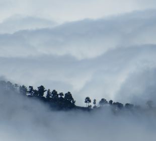 Inselrundfahrt La Palma