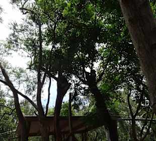 Stadtrundgang Sydney