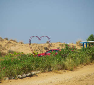 Hinteren Teil von Gündogdu