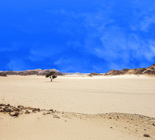 Wadi Gimal Nationalpark