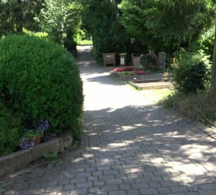Friedhof Handschuhsheim