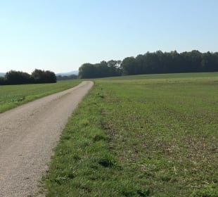 Kelten-Erlebnis-Pfad Erkenbrechtsweiler