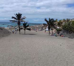Strand El Duque in Costa Adeje