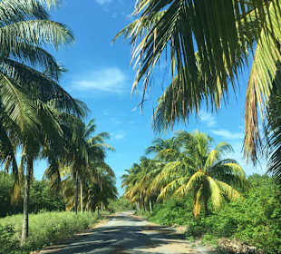 Cayo Jutias