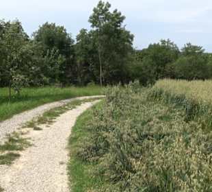 Premiumspazierweg Früchtetrauf-Leisawegle