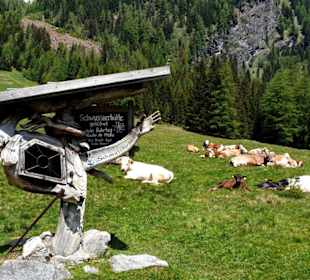 Wegweiser zur Schwussnerhütte