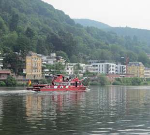Schifffahrt auf dem Neckar