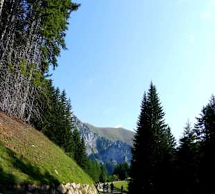 Es geht gleich mit Anstieg los 