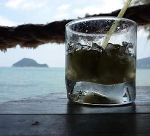 Die Schildkröteninsel