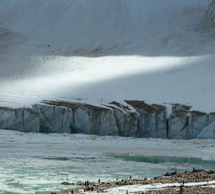 Cavell Glacier mit See
