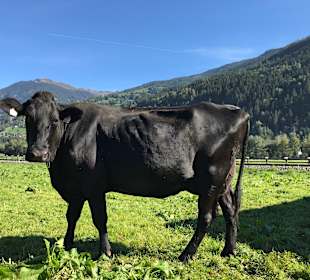Wandern Aschau im Zillertal