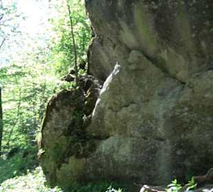 Premiumwanderweg Hochgehschätzt