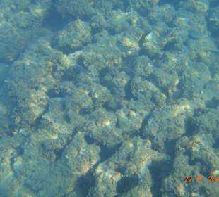 Arcanus Side Resort