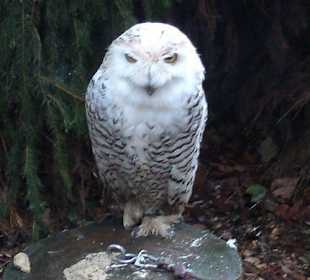Zoo Olomouc