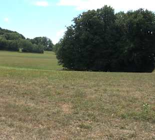 Wandertour Greifensteinrunde