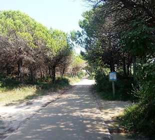 Fuß-/Radweg bis zum Leuchtturm
