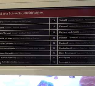 Museum Natur und Mensch