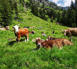 Wandern Ridnaun Ratschings