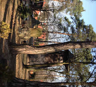 Teren kościoła