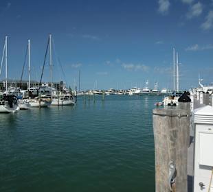 Hafen von Key West