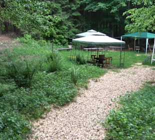 Doline Weidenwang