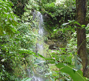 Wasserfall im Rainforest