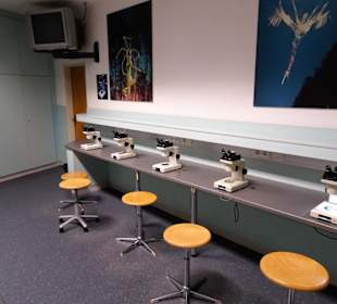 Im Biolabor des "Haus der Natur"