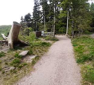 Aussichtsplattform Hermersbergerhof Pfälzerwald