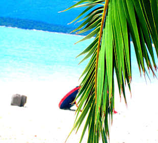 Under the palm.