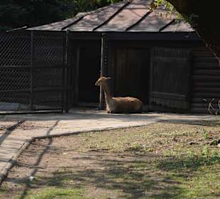 Zoo