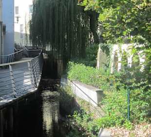 Altstadt Germersheim, an der Queich