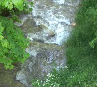 Gönninger Wasserfall