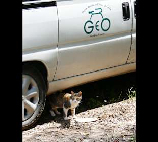 GEO-bicycling and more