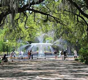 Forsyth Park