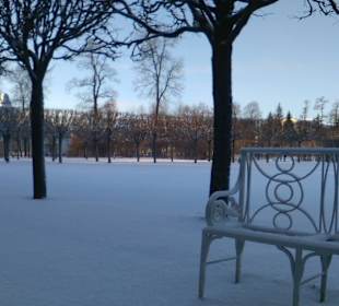 Дворцовый парк