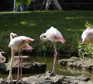 Tierpark Hagenbeck