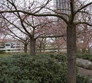 Anlage Planten un Blomen