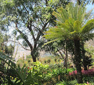 Jardim Botanico Funchal