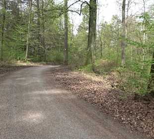 Walderlebnisweg Rottenburg