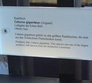 Jura-Museum