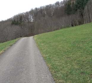 Birnenerlebnisweg Glems